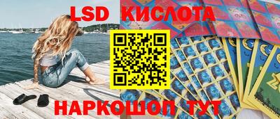 крисы Прохладный