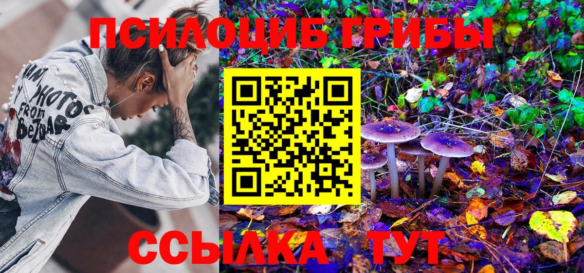 Галлюциногенные грибы Cubensis Корсаков