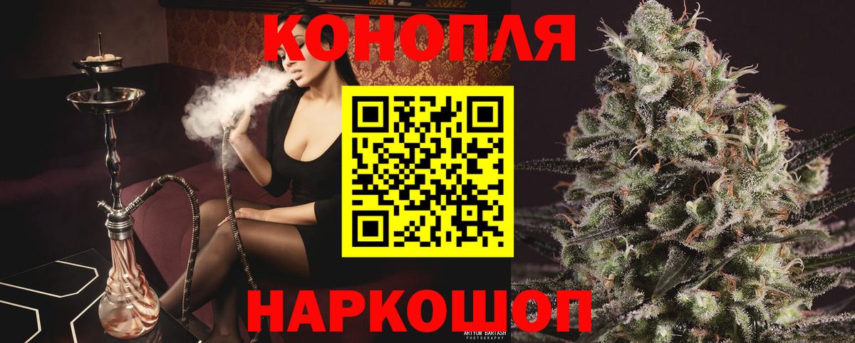 Псилоцибиновые грибы Корсаков
